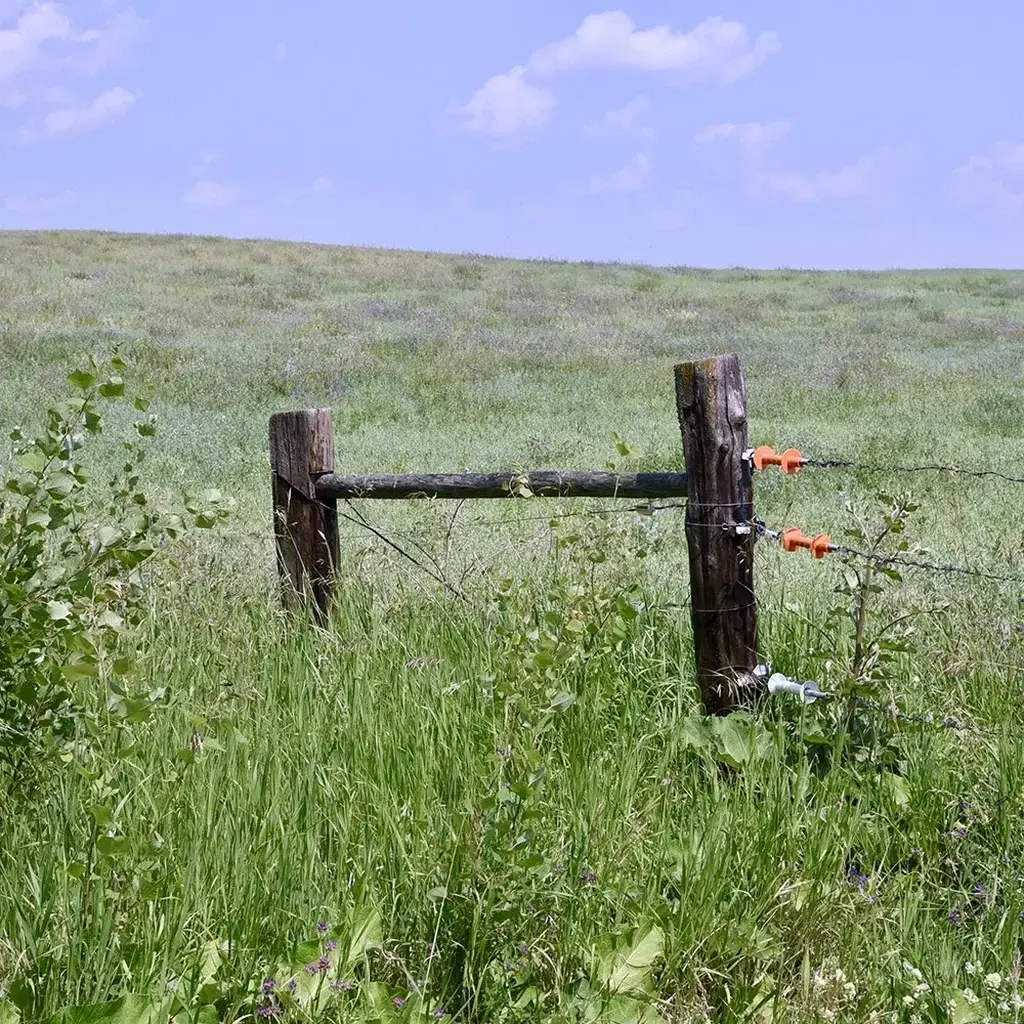 Cattle Fencing Sunshine Coast — Hinterland Rural Contracting