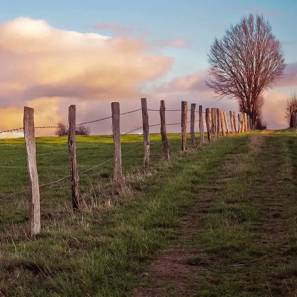 dog-fencing-topic-5-SQ Dog Fencing Sunshine Coast — Hinterland Rural Contracting