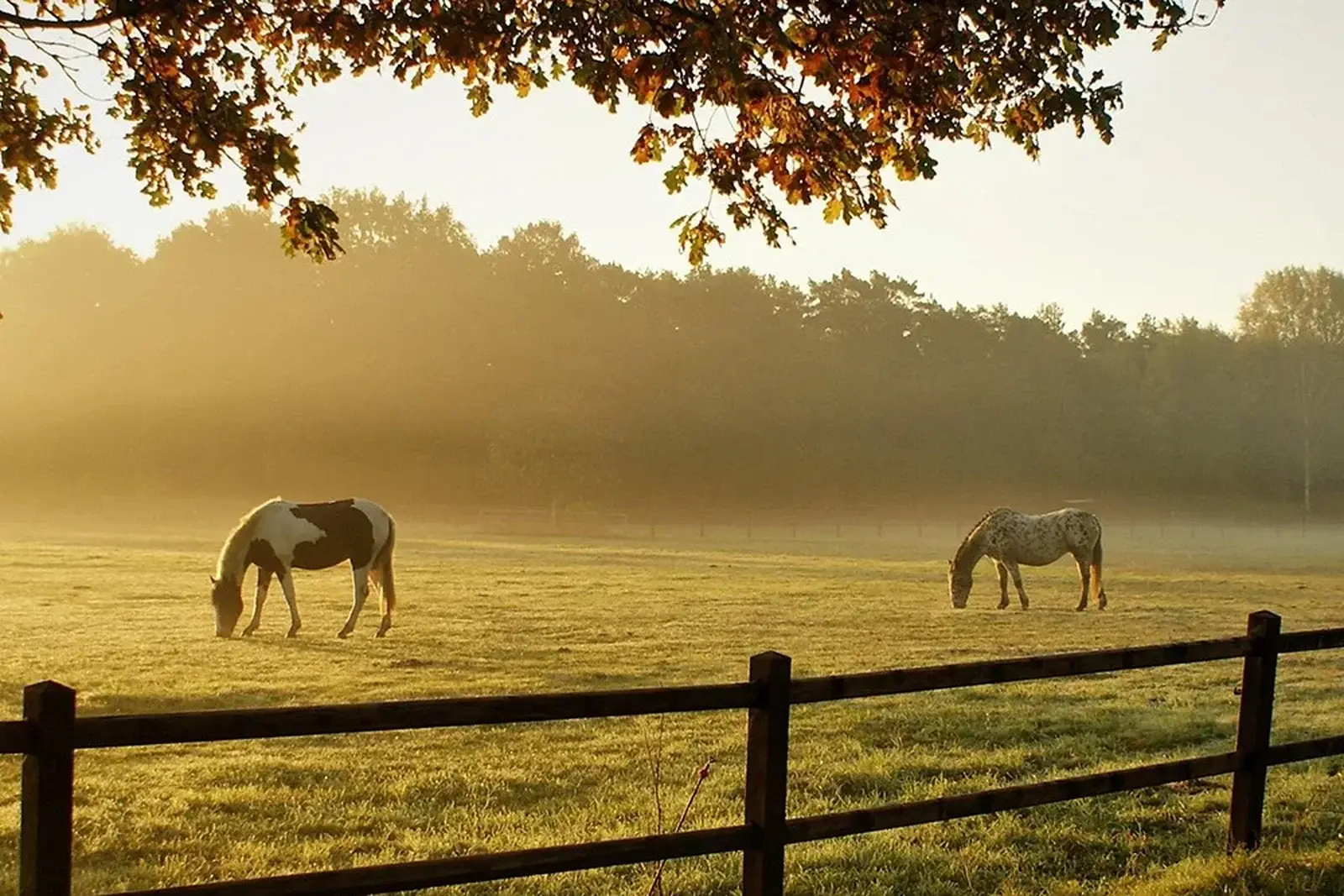 Our Commitment — Hinterland Acreage and Rural Contracting, Sunshine Coast