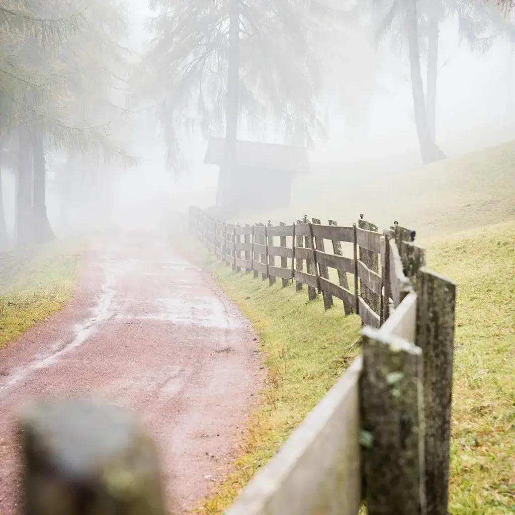 horse-fencing-topic-4-SQ Horse Fencing Sunshine Coast — Hinterland Rural Contracting