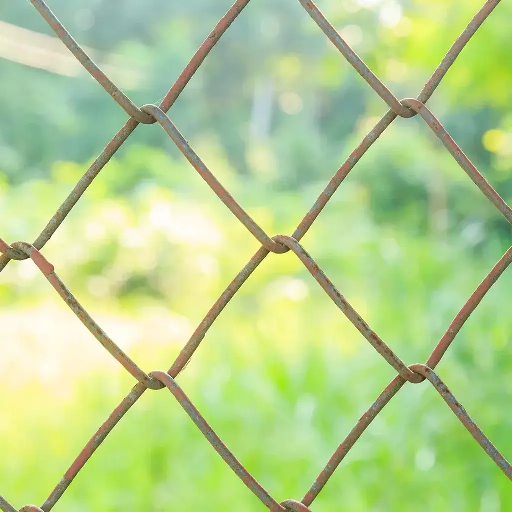horse-fencing-topic-5-SQ Horse Fencing Sunshine Coast — Hinterland Rural Contracting
