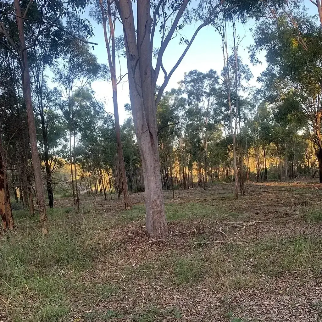 land-clearing-topic-1-SQ Land Clearing Sunshine Coast — Hinterland Rural Contracting