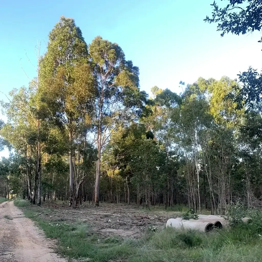 land-clearing-topic-2-SQ Land Clearing Sunshine Coast — Hinterland Rural Contracting