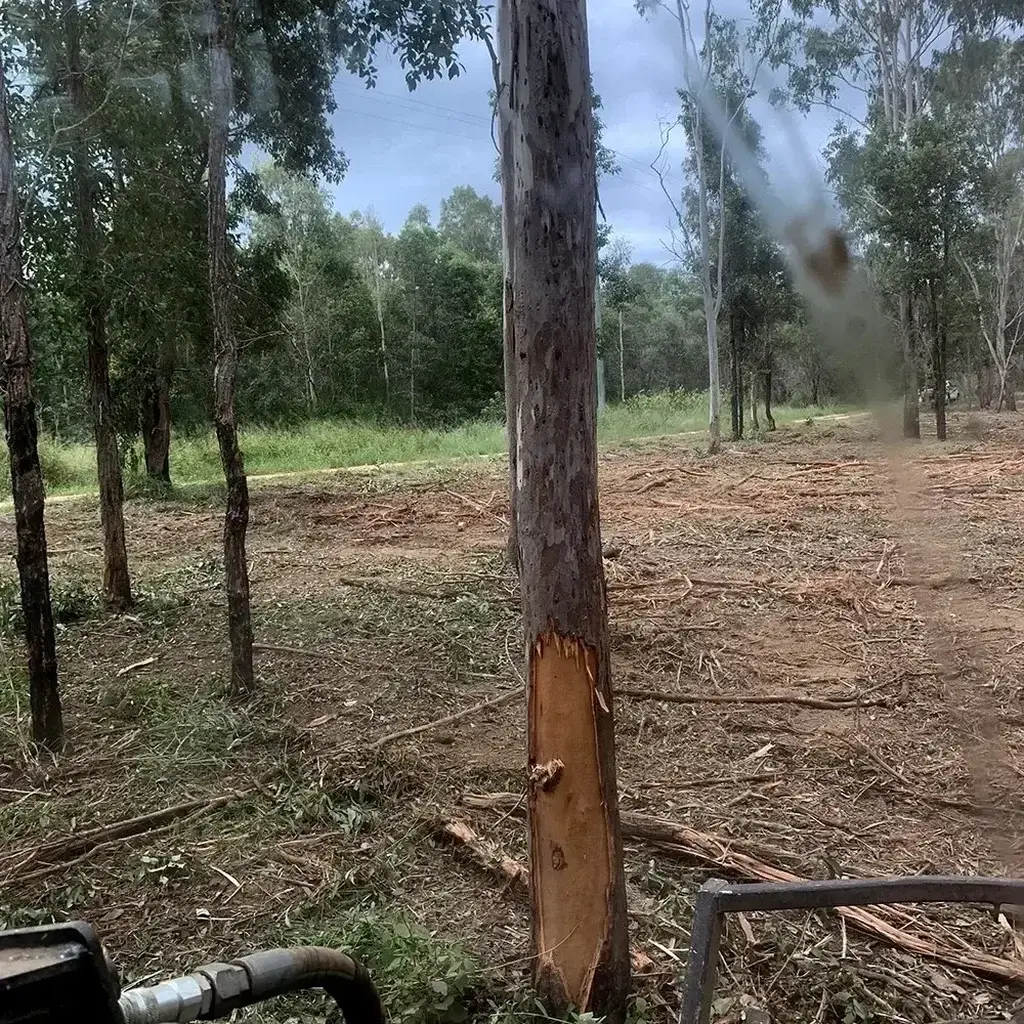land-clearing-topic-3-SQ Land Clearing Sunshine Coast — Hinterland Rural Contracting