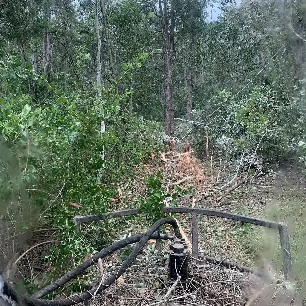 land-clearing-topic-5-SQ Land Clearing Sunshine Coast — Hinterland Rural Contracting