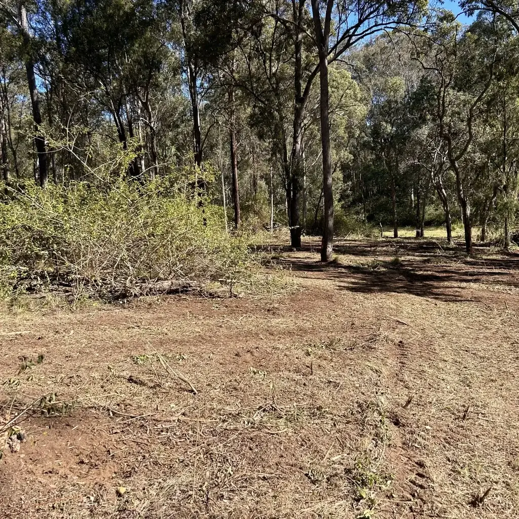 land-clearing-topic-7-SQ Land Clearing Sunshine Coast — Hinterland Rural Contracting