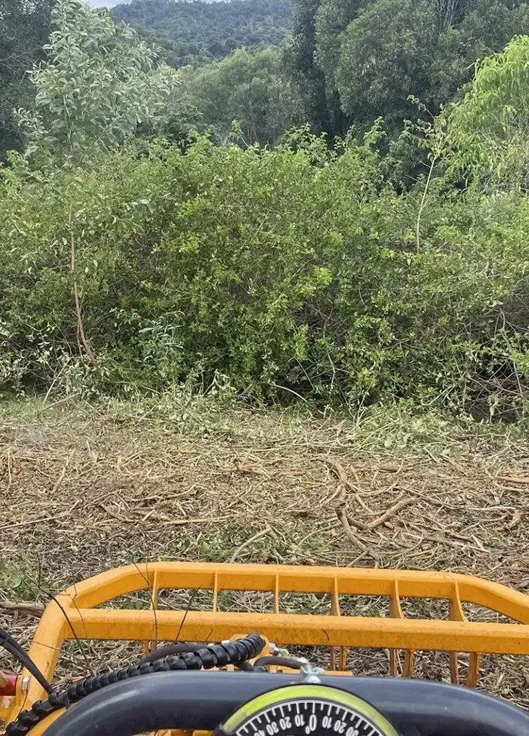Lantana Removal Sunshine Coast Services — Hinterland Acreage & Rural Contracting