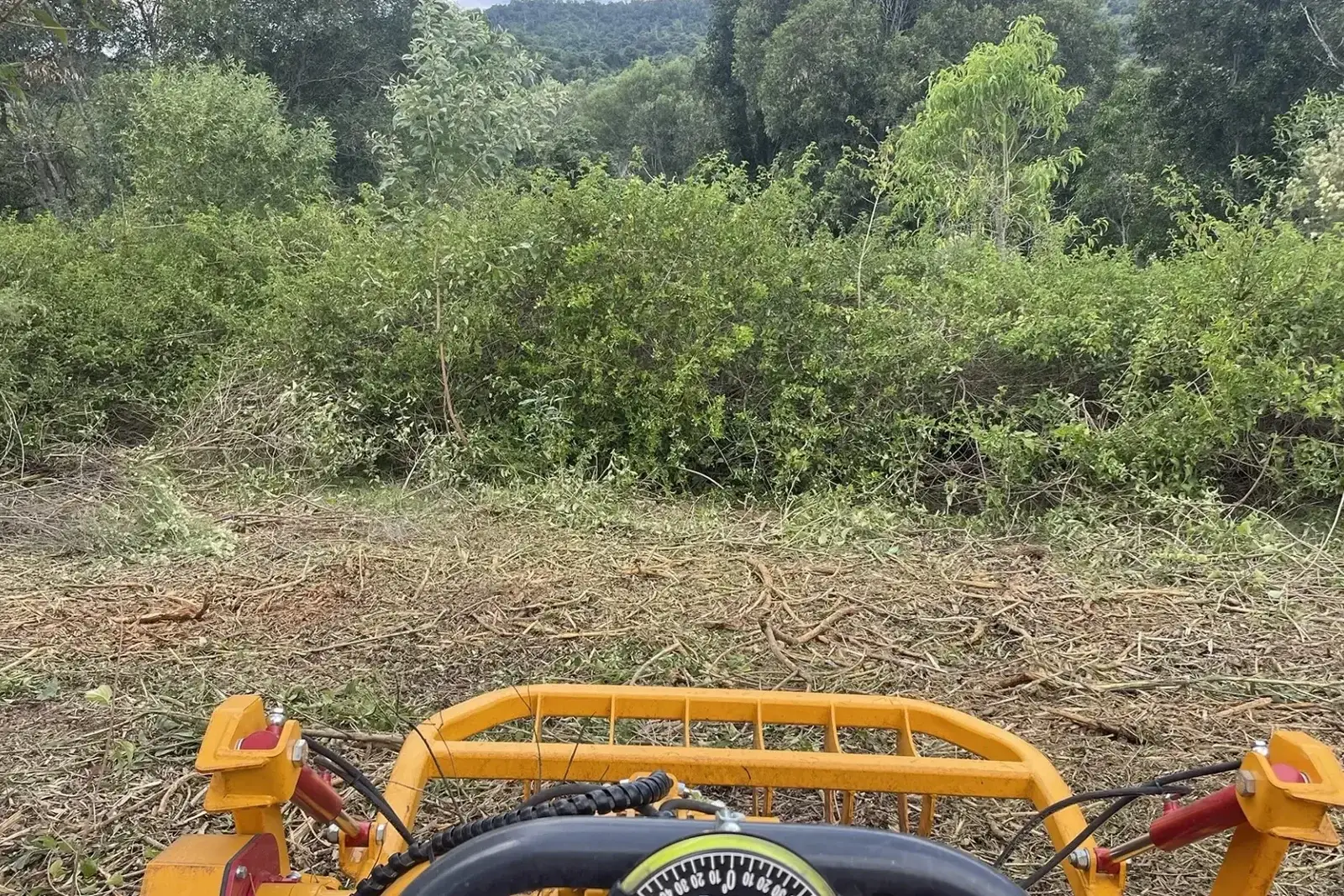 Lantana Removal Sunshine Coast — Hinterland Acreage & Rural Contracting