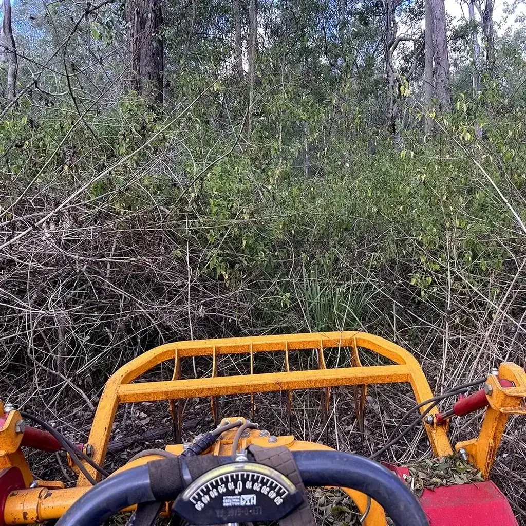 Lantana Removal Sunshine Coast — Hinterland Rural Contracting