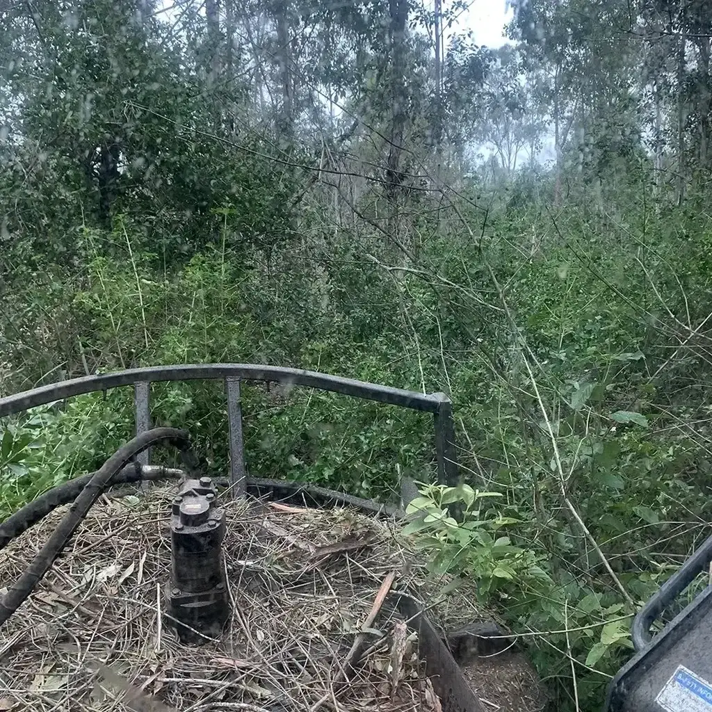 Lantana Removal Sunshine Coast — Hinterland Rural Contracting