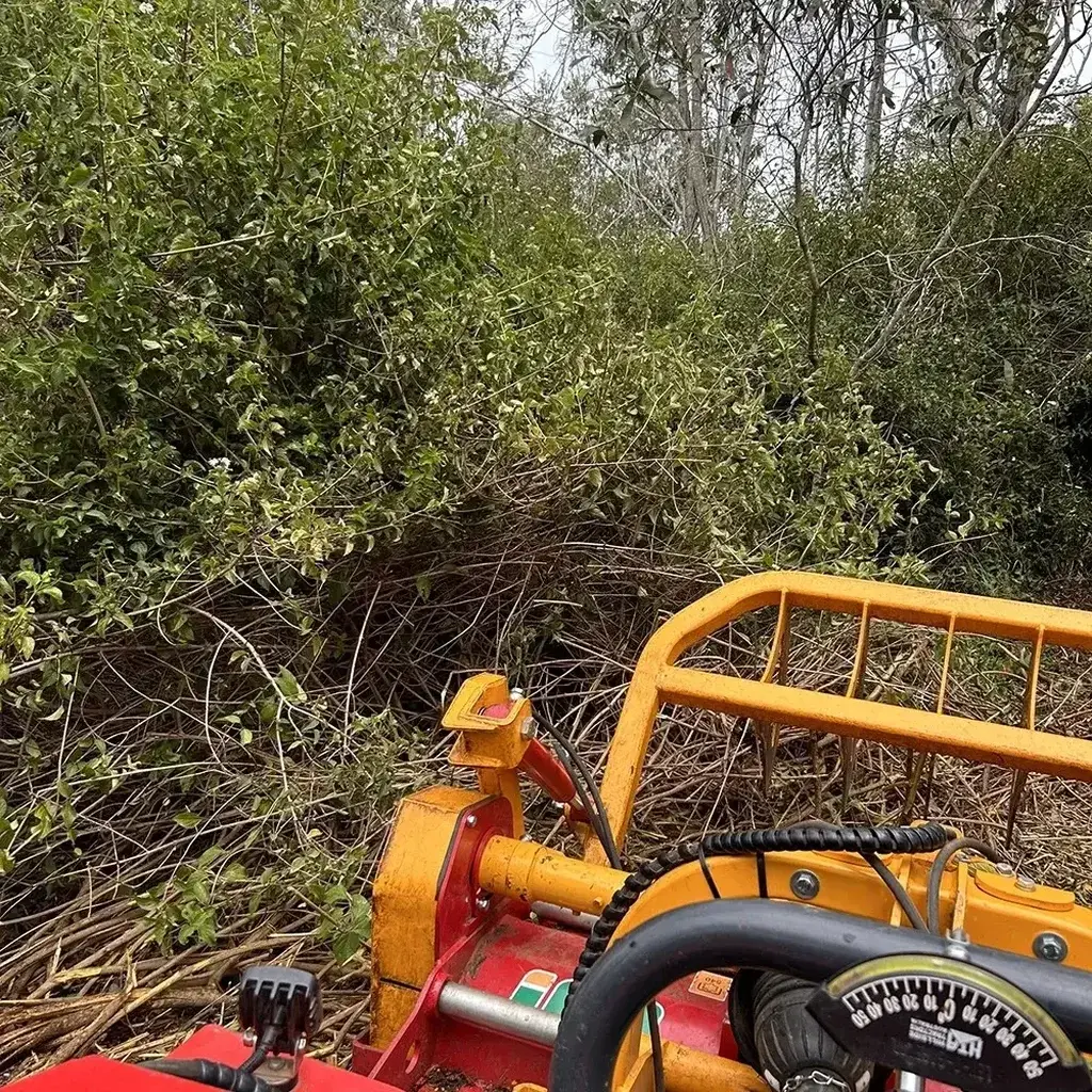 Lantana Removal Sunshine Coast — Hinterland Rural Contracting