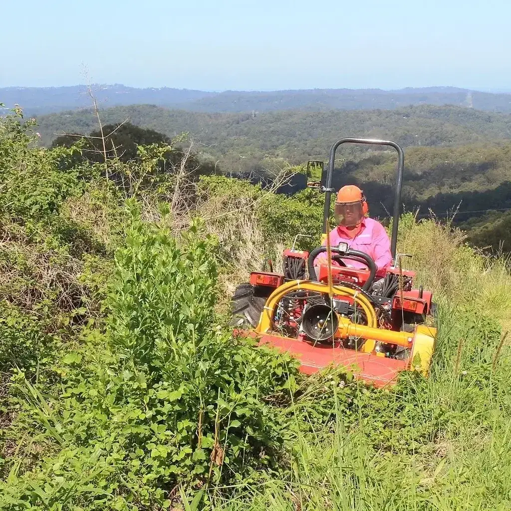 Lantana Removal Sunshine Coast — Hinterland Rural Contracting
