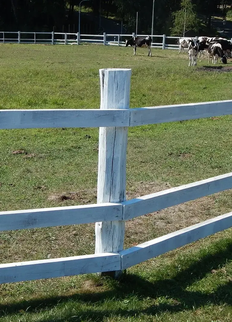 post-and-rail-fencing-category-PTM Post And Rail Fencing Sunshine Coast Services — Hinterland Acreage & Rural Contracting