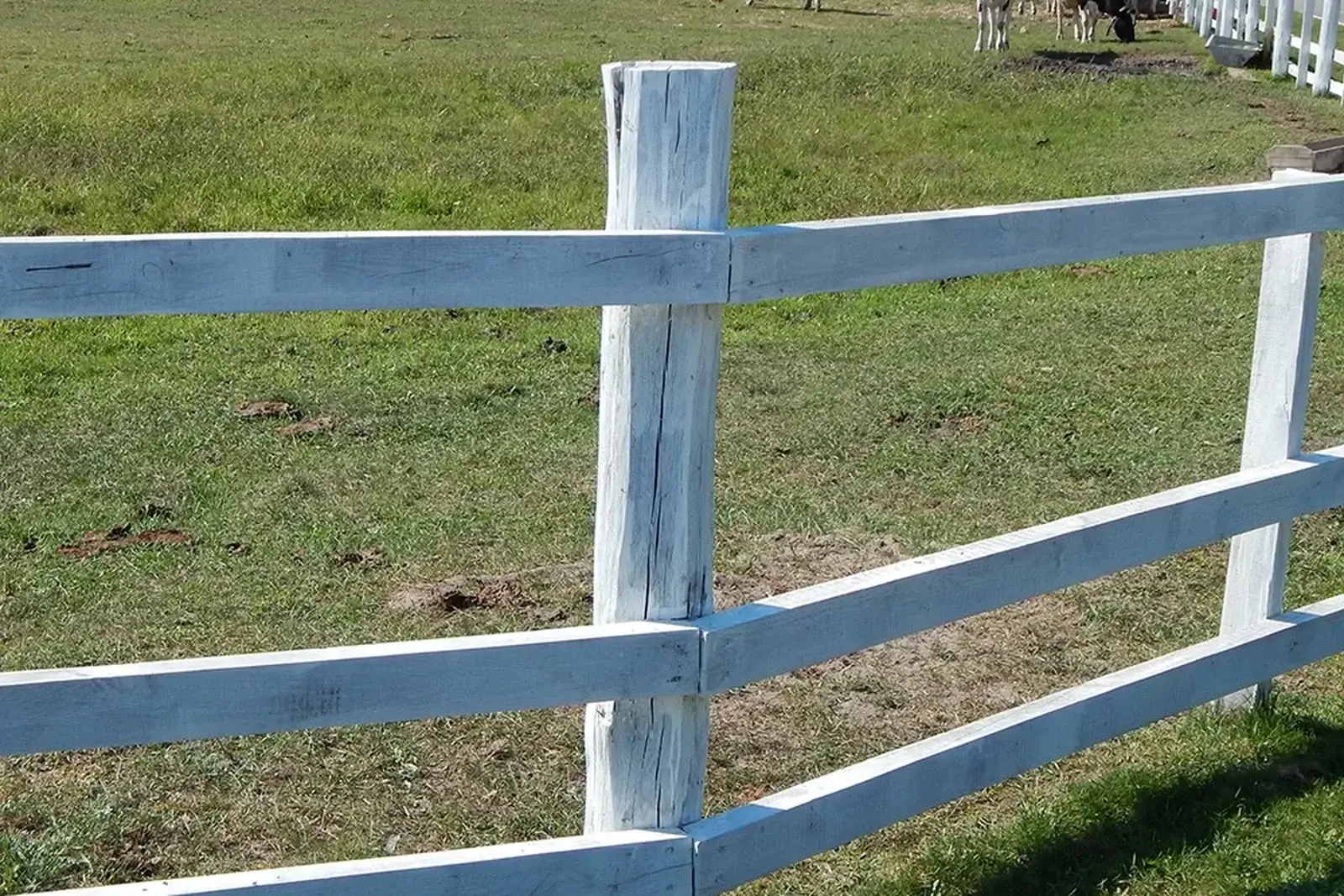 post-and-rail-fencing-feature-LS Post And Rail Fencing Sunshine Coast — Hinterland Acreage & Rural Contracting