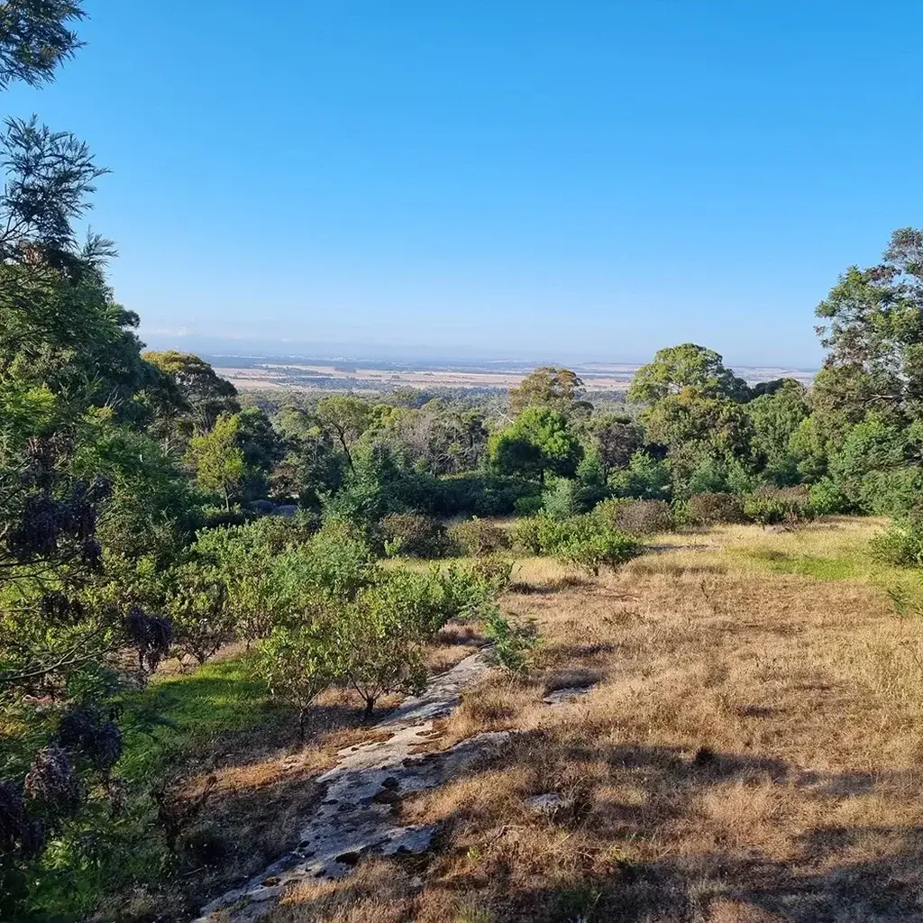 post-and-rail-fencing-topic-6-SQ Post And Rail Fencing Sunshine Coast — Hinterland Rural Contracting