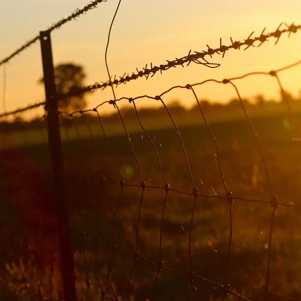 post-and-rail-fencing-topic-7-SQ Post And Rail Fencing Sunshine Coast — Hinterland Rural Contracting