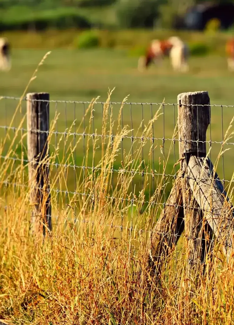 rural-fencing-category-PTM Rural Fencing Sunshine Coast Services — Hinterland Acreage & Rural Contracting