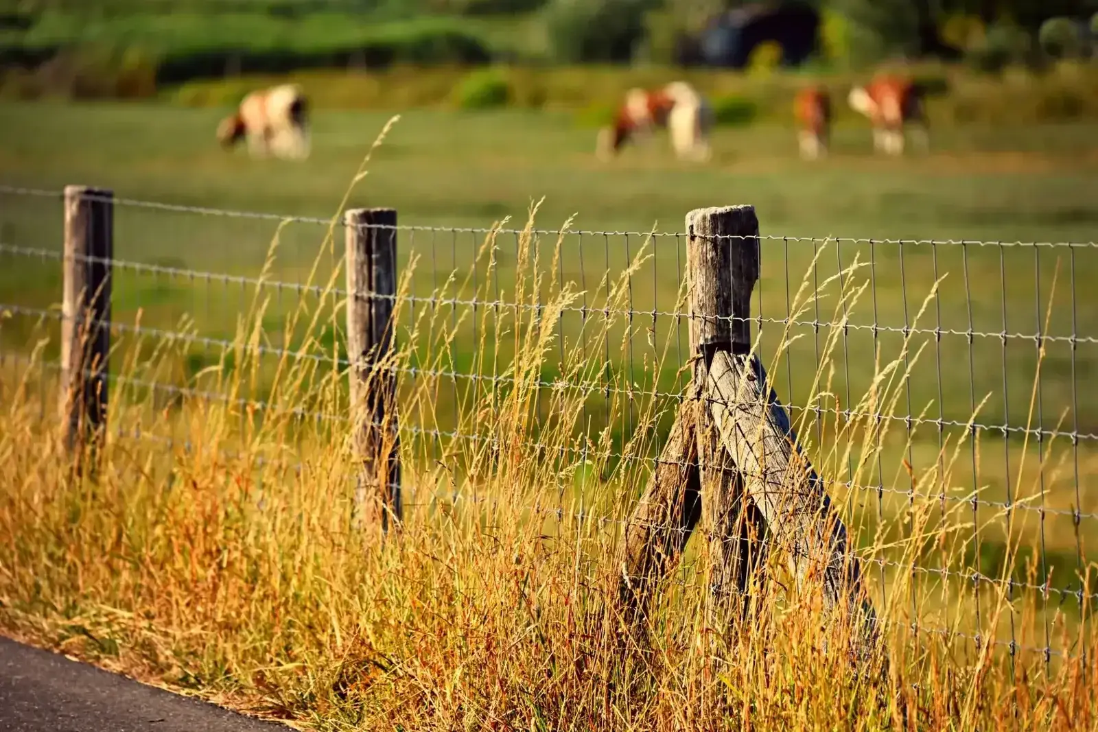 Fencing and Rural Property Services Sunshine Coast | Hinterland Acreage and Rural Contracting