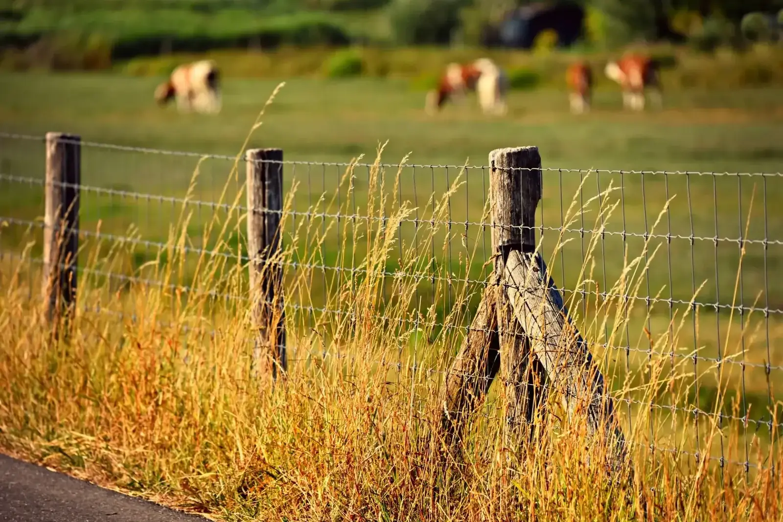 Contact Hinterland Acreage and Rural Contracting — Sunshine Coast