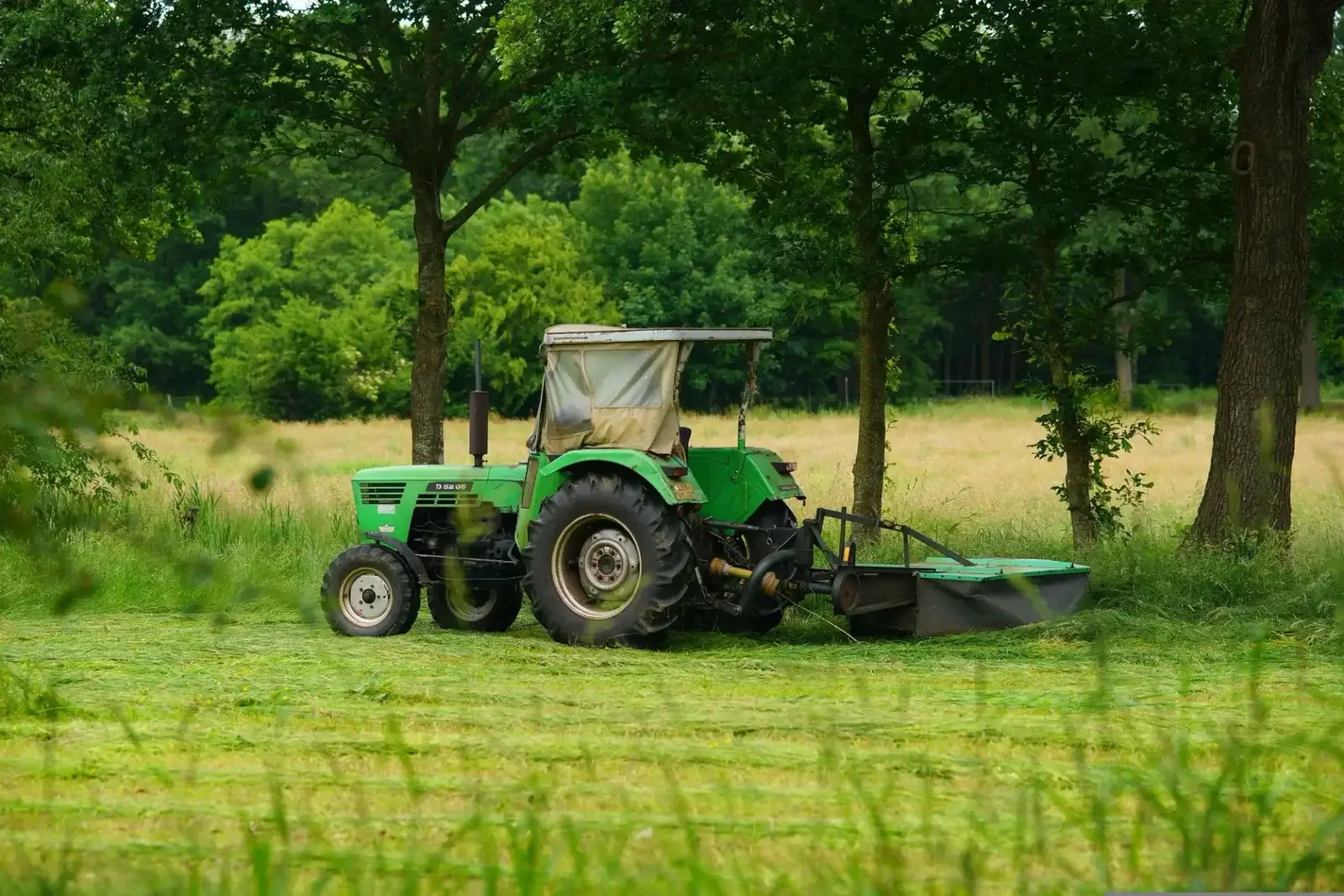 slashing-feature-LS Grass Slashing Sunshine Coast — Hinterland Acreage & Rural Contracting