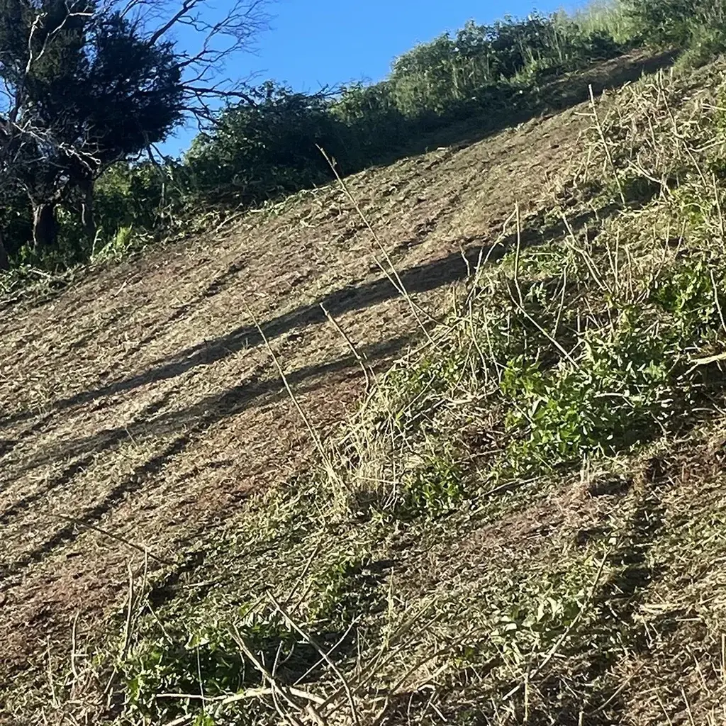 slashing-topic-1-SQ Grass Slashing Sunshine Coast — Hinterland Rural Contracting