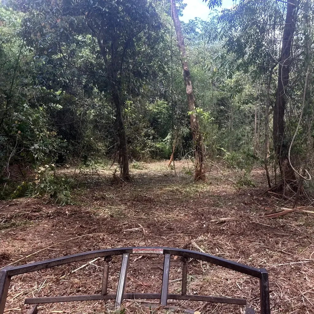 slashing-topic-4-SQ Grass Slashing Sunshine Coast — Hinterland Rural Contracting