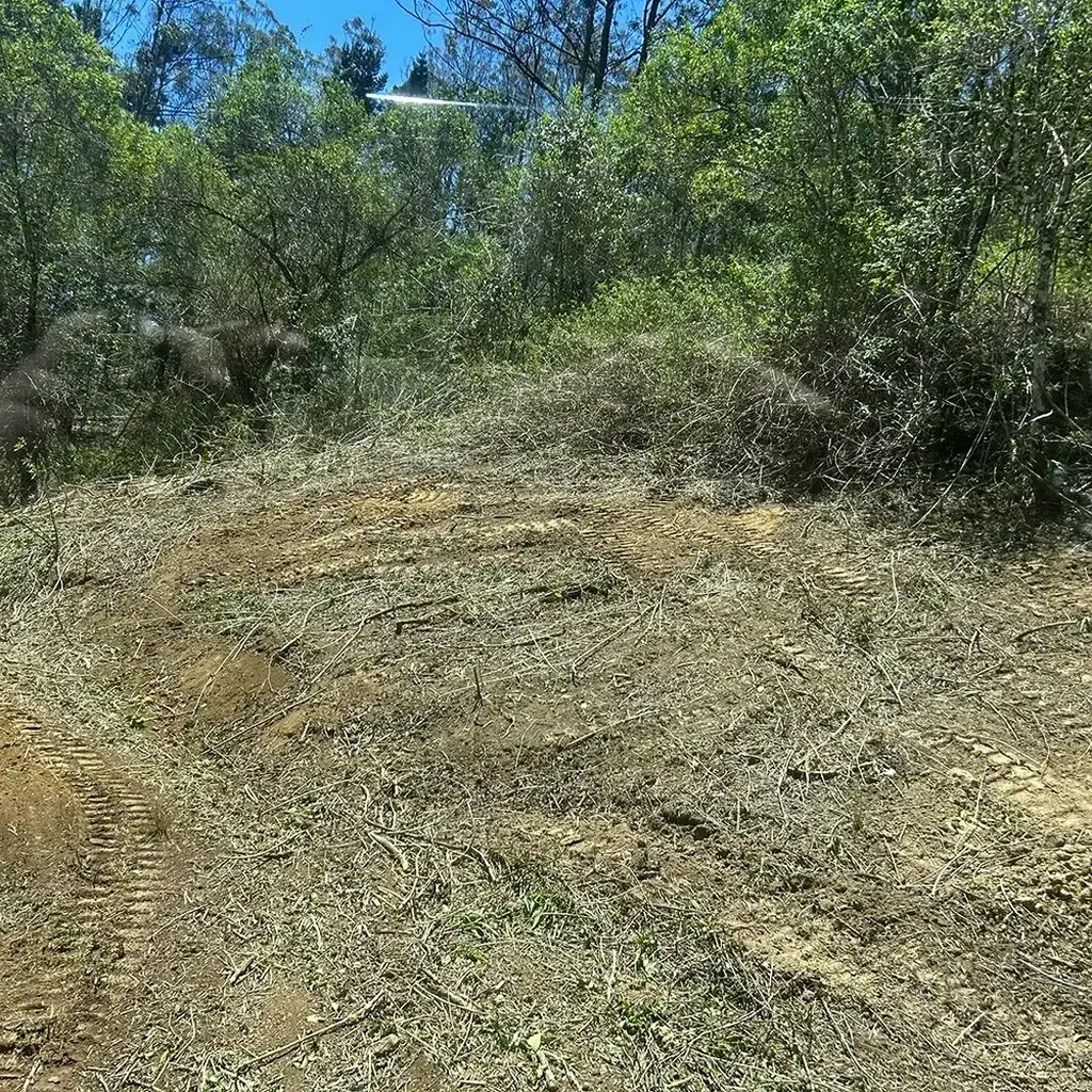 slashing-topic-6-SQ Grass Slashing Sunshine Coast — Hinterland Rural Contracting